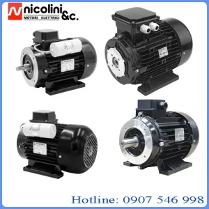 Động cơ Nicolini chính hãng Italy