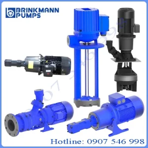 Brinkmann Pumps Đức Chính Hãng