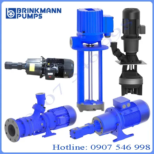 Brinkmann Pumps Đức Chính Hãng Brinkmann Pumps chính hãng giá tốt