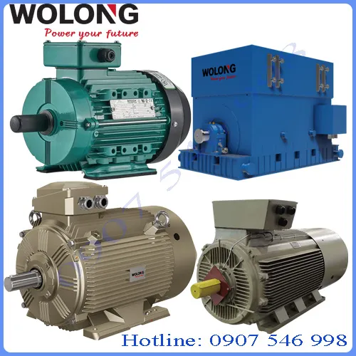 Motor Wolong Chính Hãng | Động Cơ Điện Công Nghiệp, Biến Tần, EC Motor, HV Motor Động cơ wolong